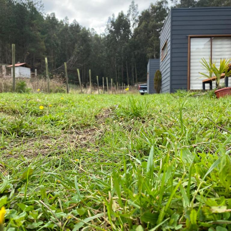 Cabañas del Valle Pudá - Casa de 2 dormitorios - 17