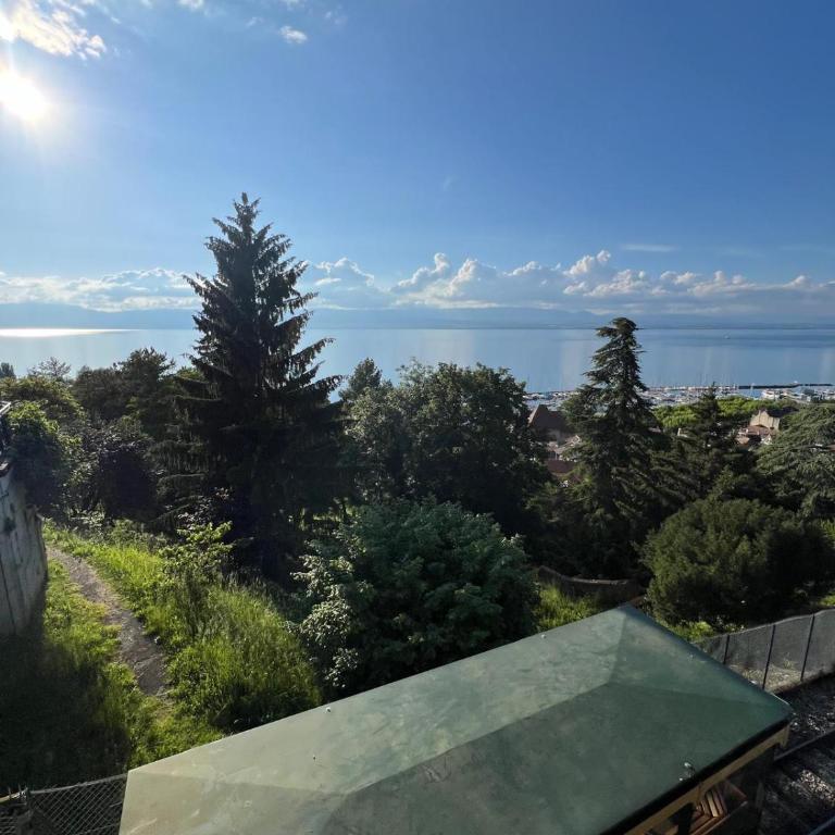 Berges du Léman-cœur de Thonon - Apartment mit 1 Schlafzimmer - 31
