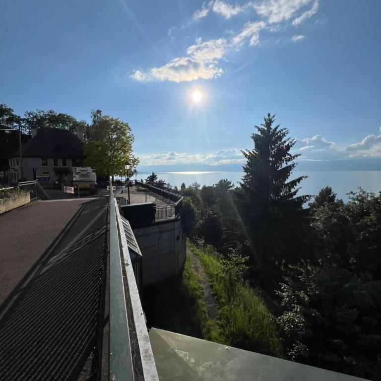Berges du Léman-cœur de Thonon - Apartment mit 1 Schlafzimmer - 32