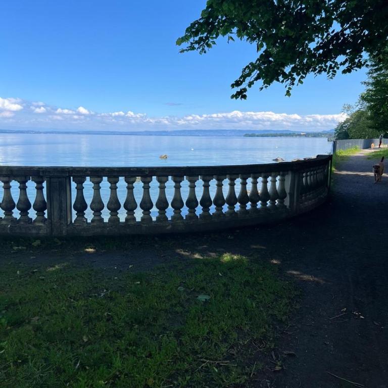 Berges du Léman-cœur de Thonon - Apartment mit 1 Schlafzimmer - 27