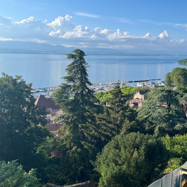 Berges du Léman-cœur de Thonon - Apartment mit 1 Schlafzimmer - 26