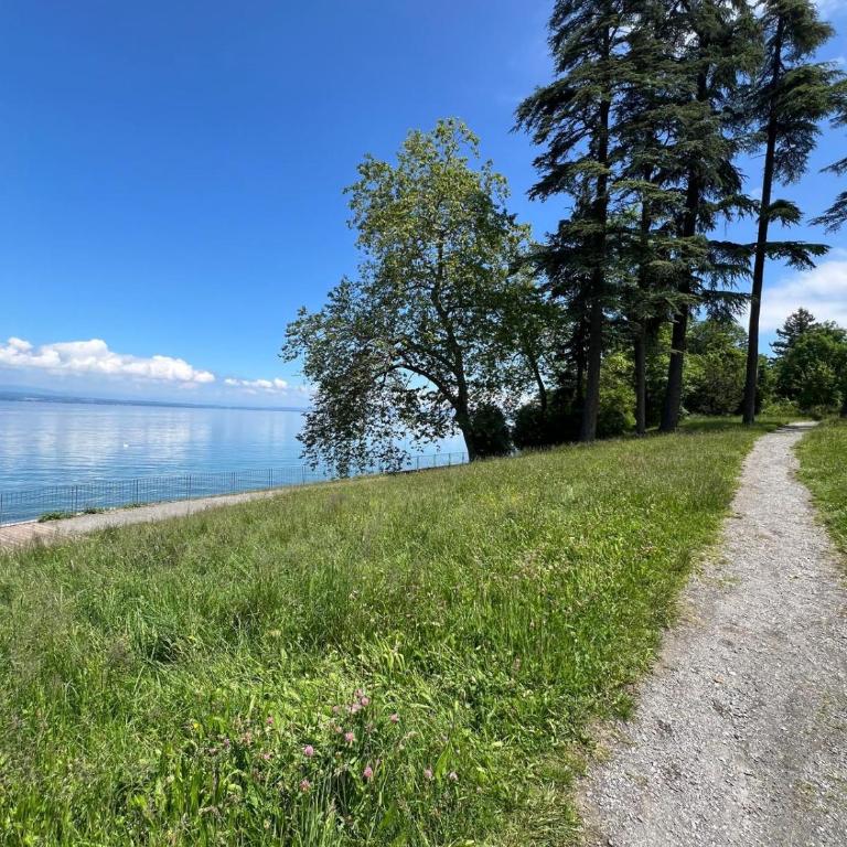 Berges du Léman-cœur de Thonon - Apartment mit 1 Schlafzimmer - 24