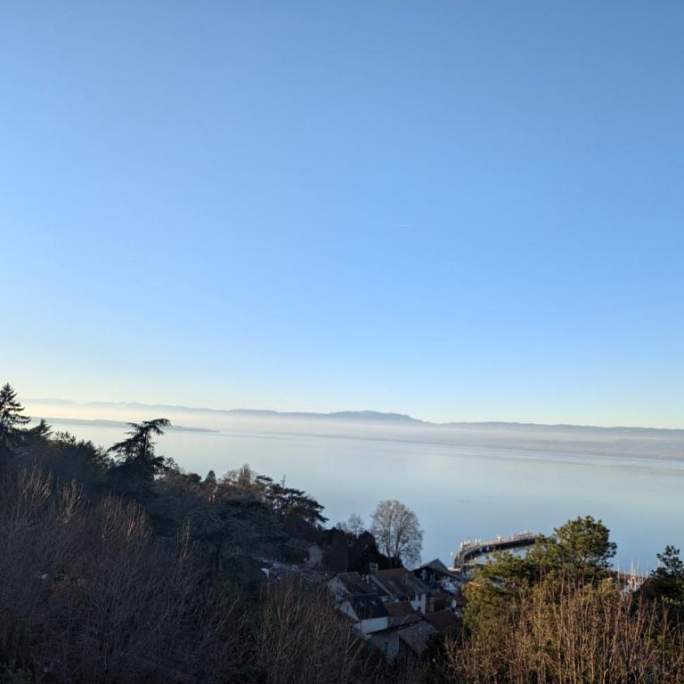 Berges du Léman-cœur de Thonon - Apartment mit 1 Schlafzimmer - 25