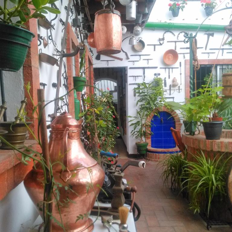 Casa Museo Jerez Centro - Apartamento de 1 dormitorio - 46