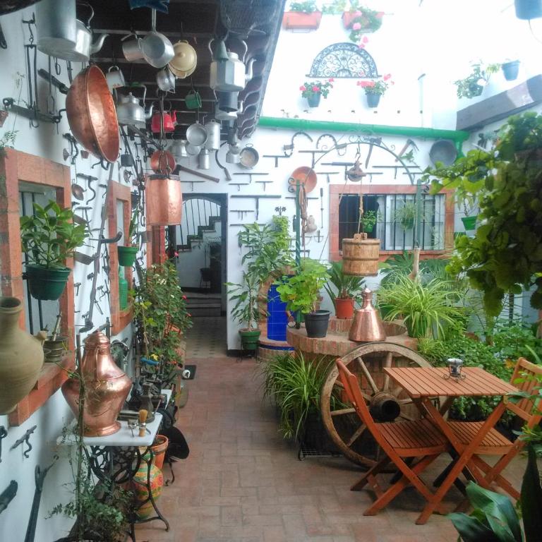 Casa Museo Jerez Centro - Apartamento de 1 dormitorio - 47