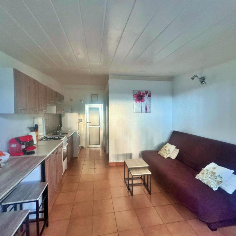 Les pieds dans l'eau T2 A - Appartement 1 Chambre - 1