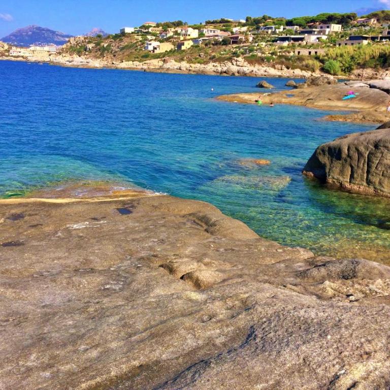 Les pieds dans l'eau T2 A - Appartement 1 Chambre - 12