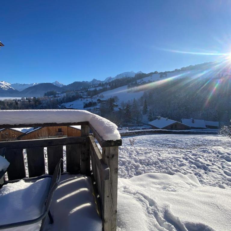 Chalet vue Mont Blanc avec jacuzzi extérieur - Appartement - 2