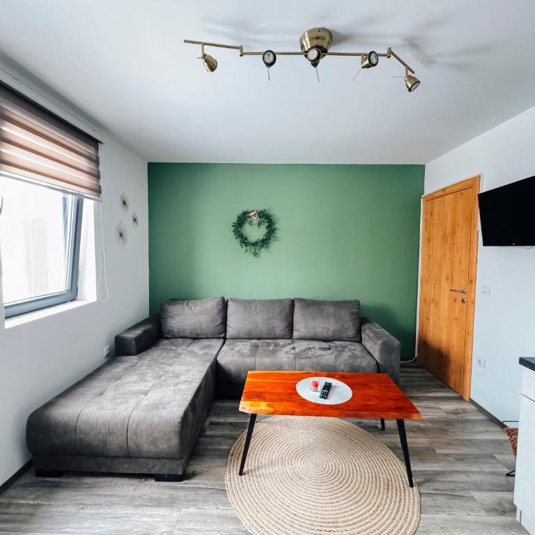 Ski2Door Apartment - Sunčani Breg, 50m from Ski Slope - One-Bedroom Apartment - 5