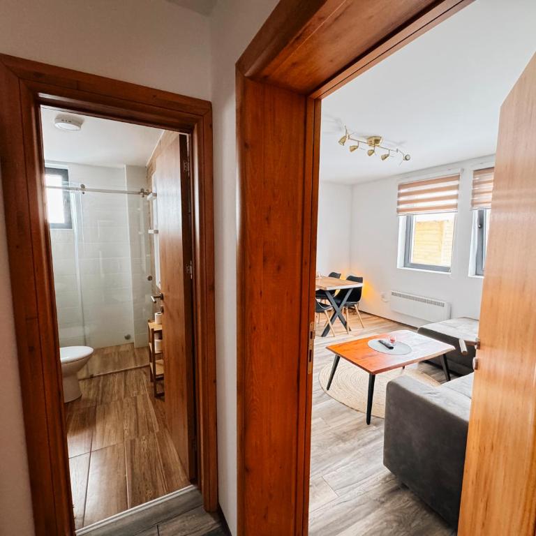 Ski2Door Apartment - Sunčani Breg, 50m from Ski Slope - One-Bedroom Apartment - 7