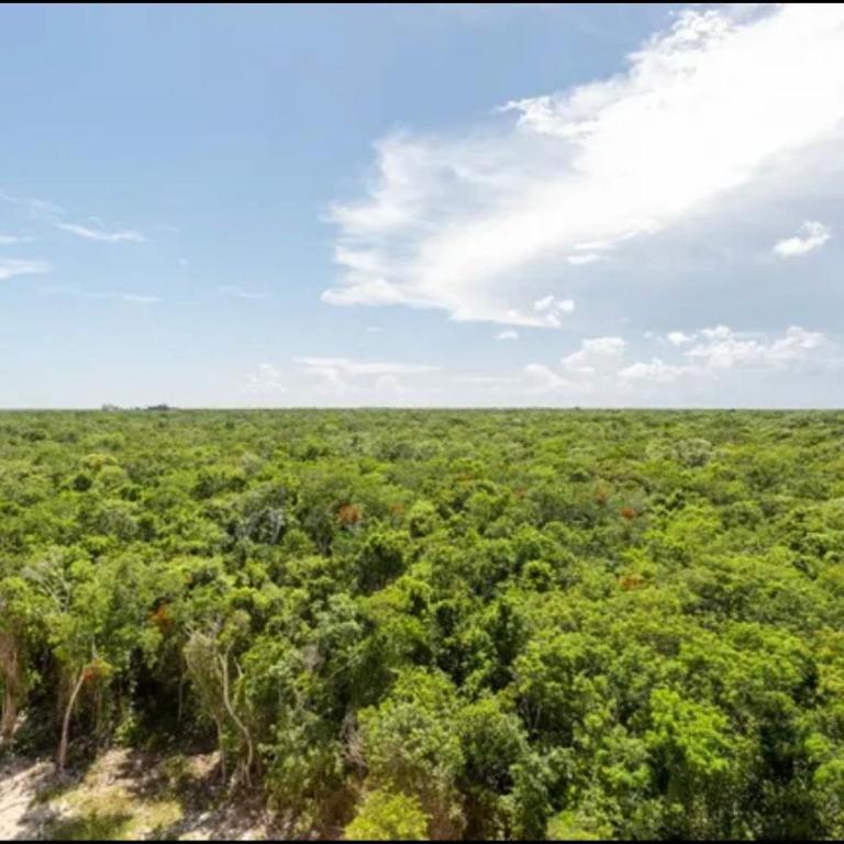 Leneva Loft Tulum - Apartment mit 1 Schlafzimmer - 33