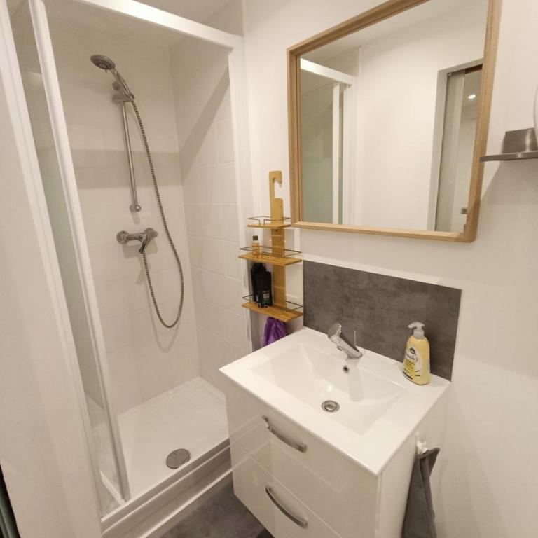 L'Échappée Zen Sauna Privatif et Shopping, tram à coté - Appartamento con 1 Camera da Letto - 20