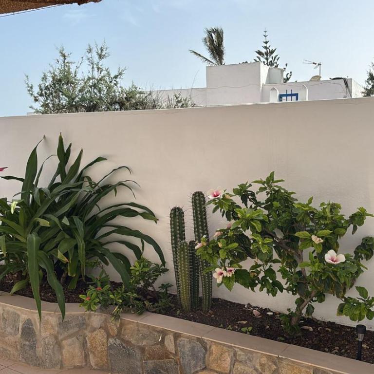 Beach Front House 'Casa Neen' - Two-Bedroom House - 11