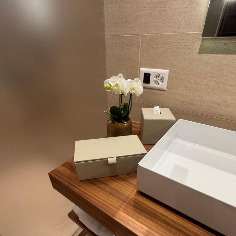 Alpine Luxury Apartment Davos with Spa Access to 5 Star Hotel - Apartment mit 2 Schlafzimmern - 22