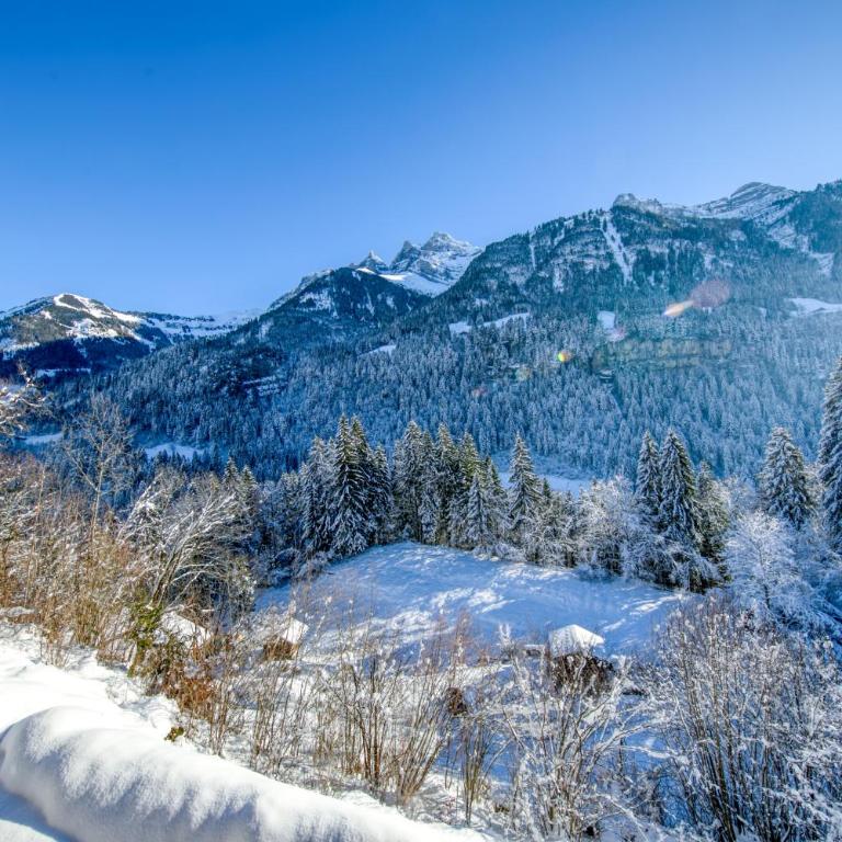 Magical setting Exclusive mountain views Champcalm - Appartement avec Vue sur la Montagne - 11