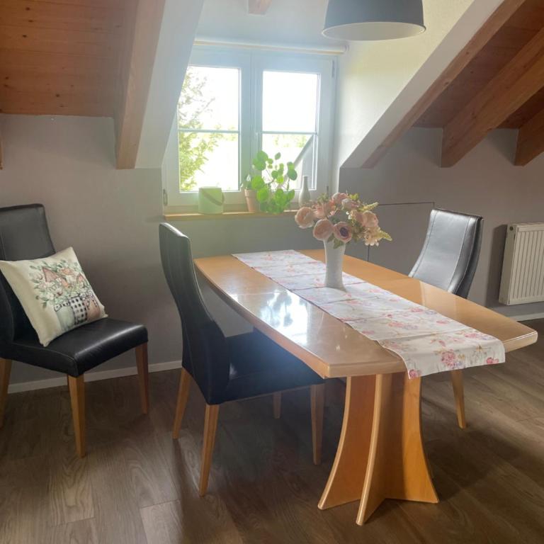 Panorama Säntisblick - Familien-Apartment mit 1 Schlafzimmer - 7
