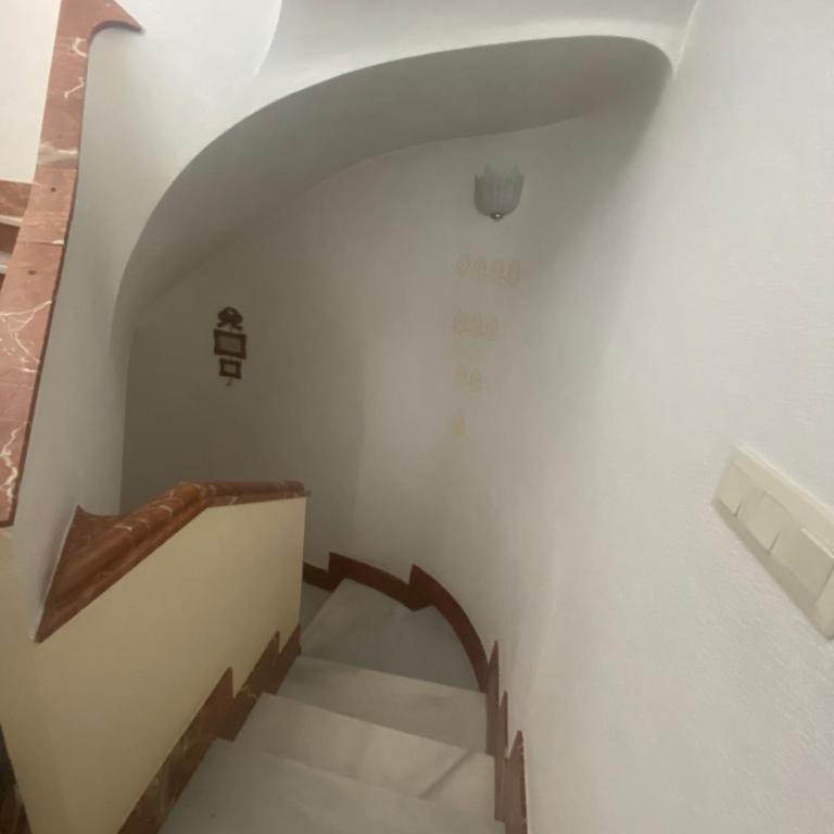 Bonitas habitaciones con aire acondicionado y terraza en casa residencial cercana al centro histórico de Málaga - Habitación Doble con baño compartido - 5
