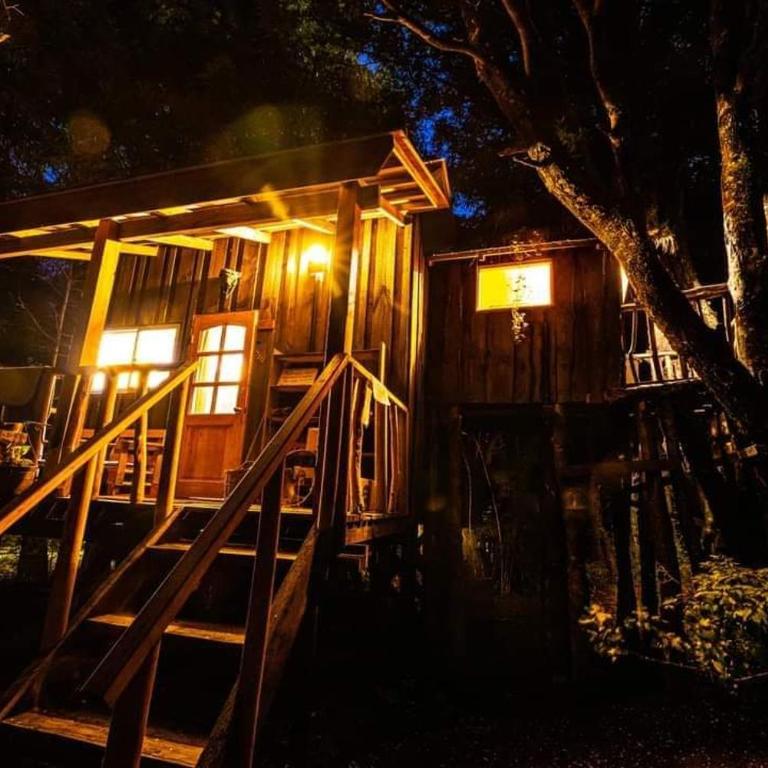 Pucón Magic forest - Suite con vistas al jardín - 3