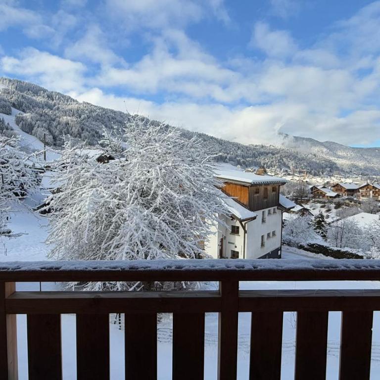 Fermes du Planet - Apartamento de 2 dormitorios con vistas a la montaña - 24