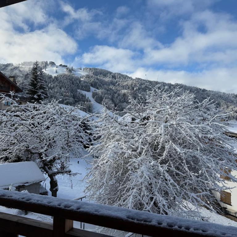 Fermes du Planet - Apartamento de 2 dormitorios con vistas a la montaña - 26