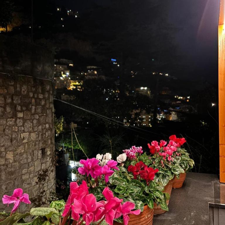 Villa Leonardo in the heart of Positano - Two-Bedroom House - 53