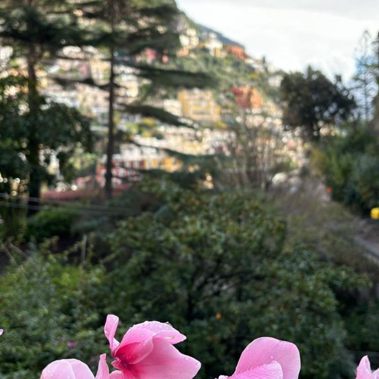 Villa Leonardo in the heart of Positano - Two-Bedroom House - 62