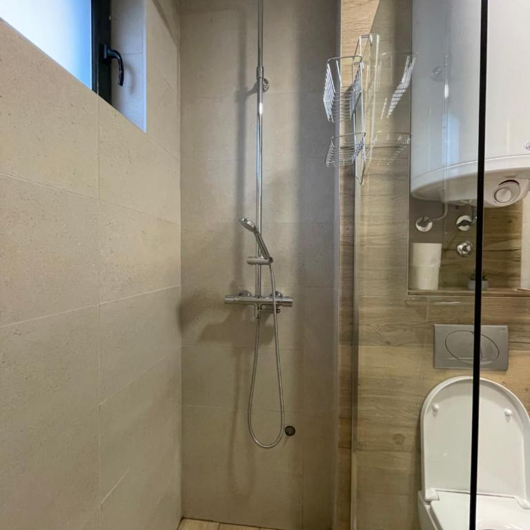 Villa Evergreen - Apartman sa 1 Spavaćom Sobom - 20