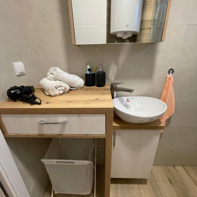 Villa Evergreen - Apartman sa 1 Spavaćom Sobom - 23
