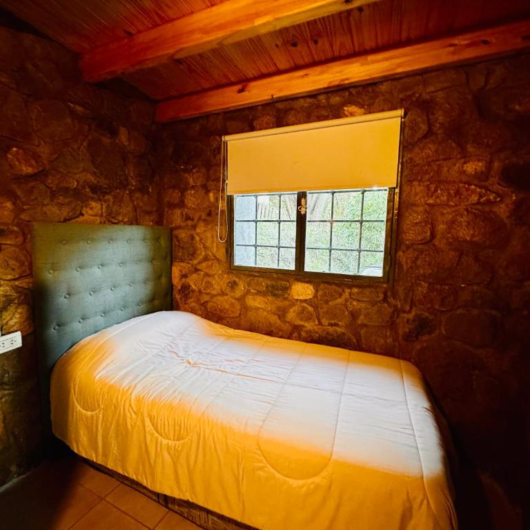 Uva Cabañas - Habitación Familiar - 7
