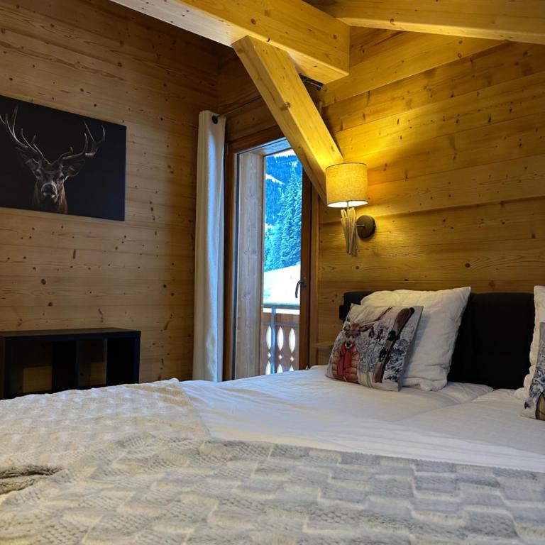 La Rose des neiges à Châtel - Appartement - 12