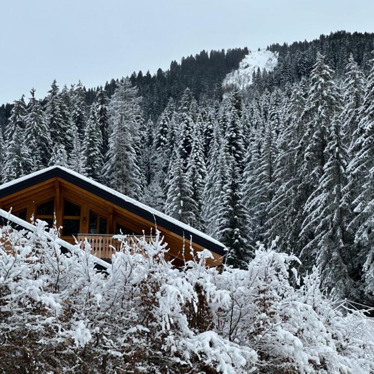La Rose des neiges à Châtel - Appartement - 7