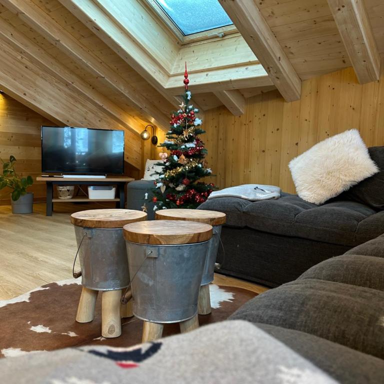 La Rose des neiges à Châtel - Appartement - 8