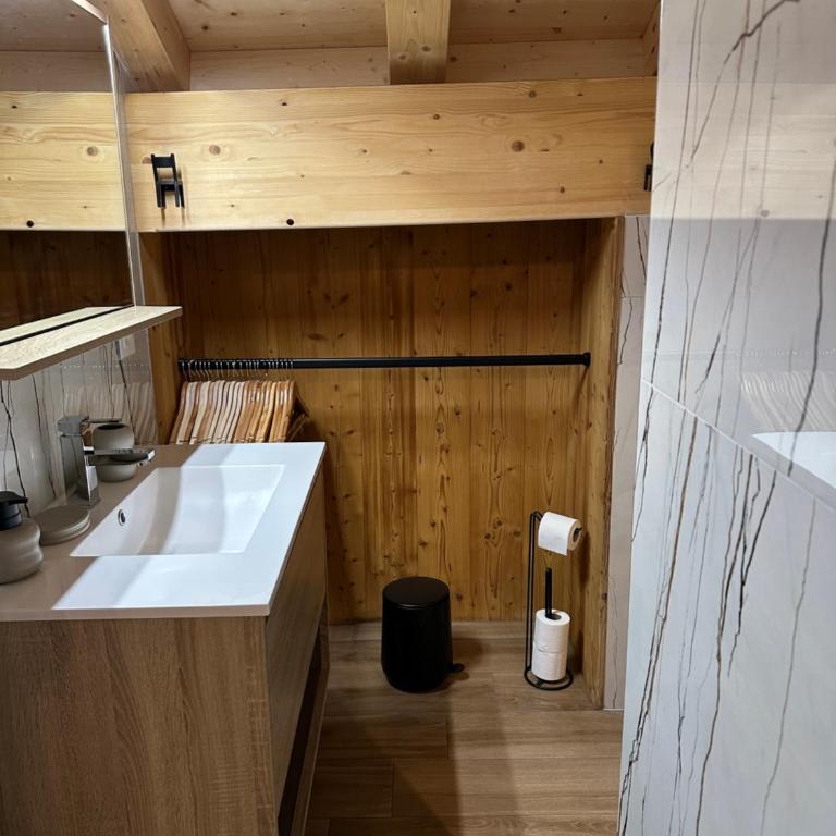La Rose des neiges à Châtel - Appartement - 16