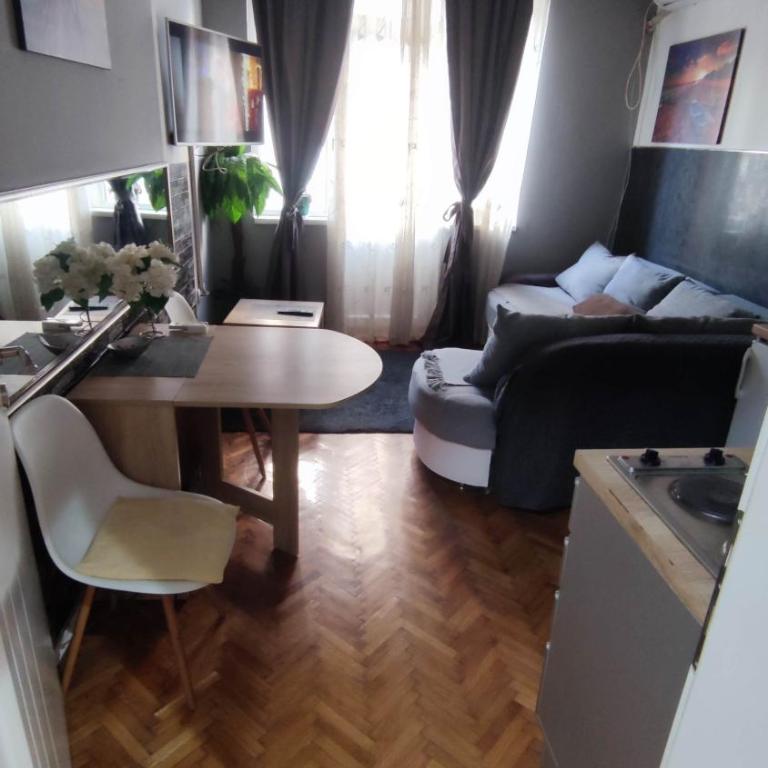 Top rooms 12 - Standardni Apartman sa 1 Spavaćom Sobom - 9