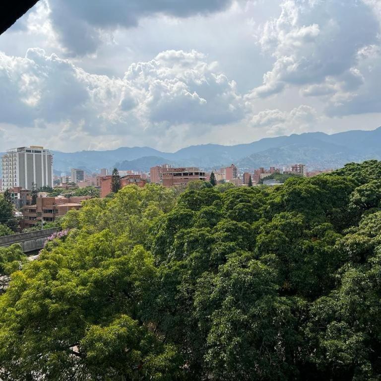 Luxurious apartment in Laureles Estadio - One-Bedroom Apartment - 10