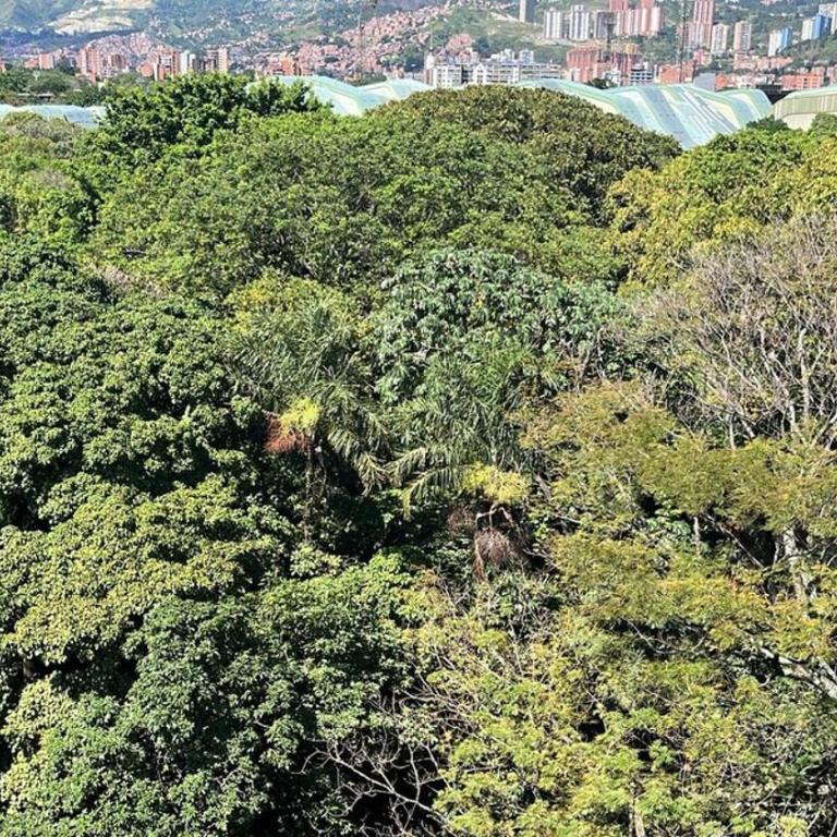Luxurious apartment in Laureles Estadio - One-Bedroom Apartment - 28