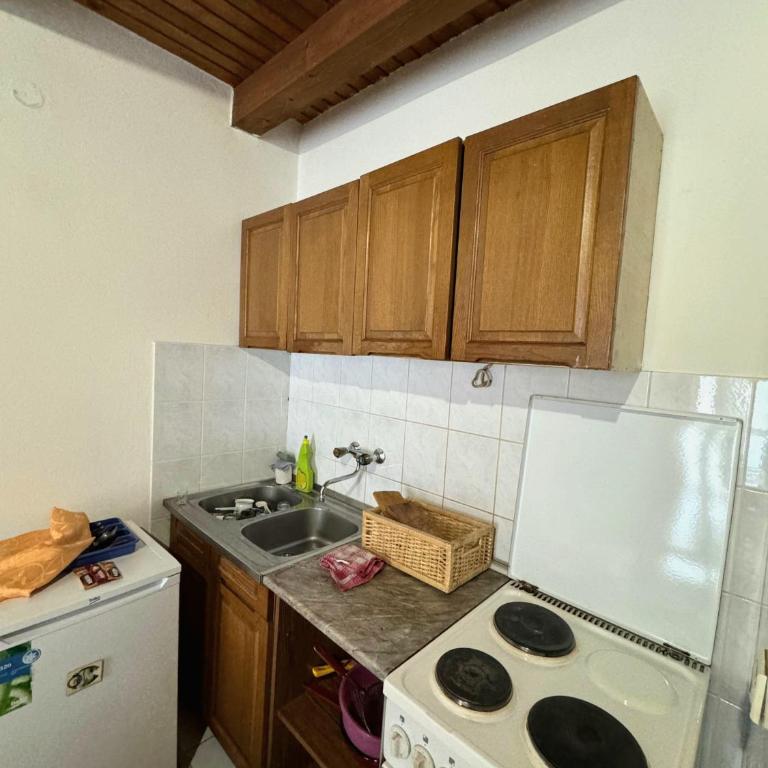 Apartmani Tara Vila Isidora - Apartman sa 2 Spavaće Sobe - 6