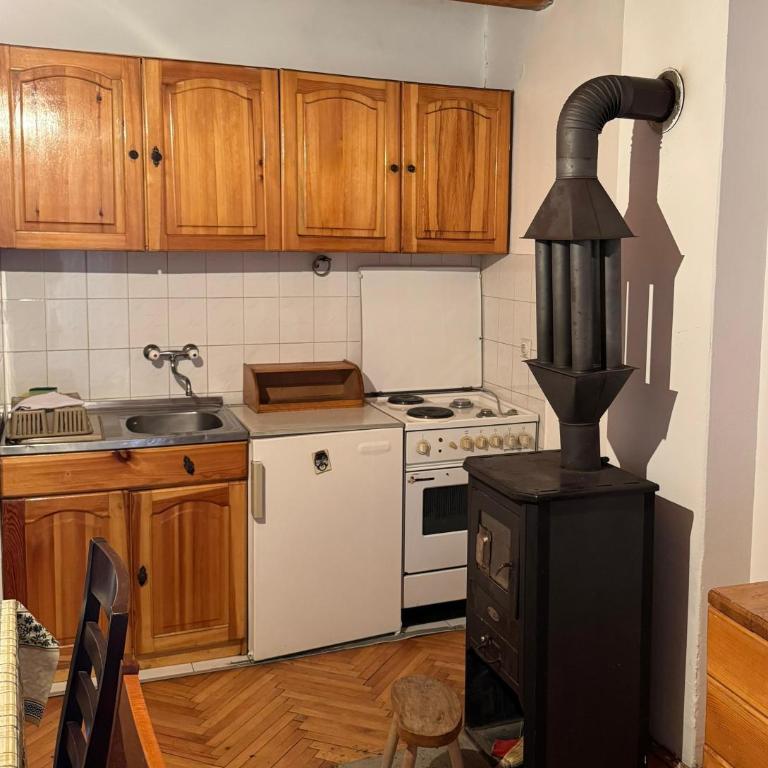 Apartmani Tara Vila Isidora - Apartman sa 2 Spavaće Sobe - 13