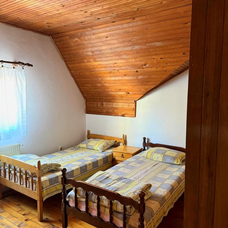 Apartmani Tara Vila Isidora - Apartman sa 2 Spavaće Sobe - 14