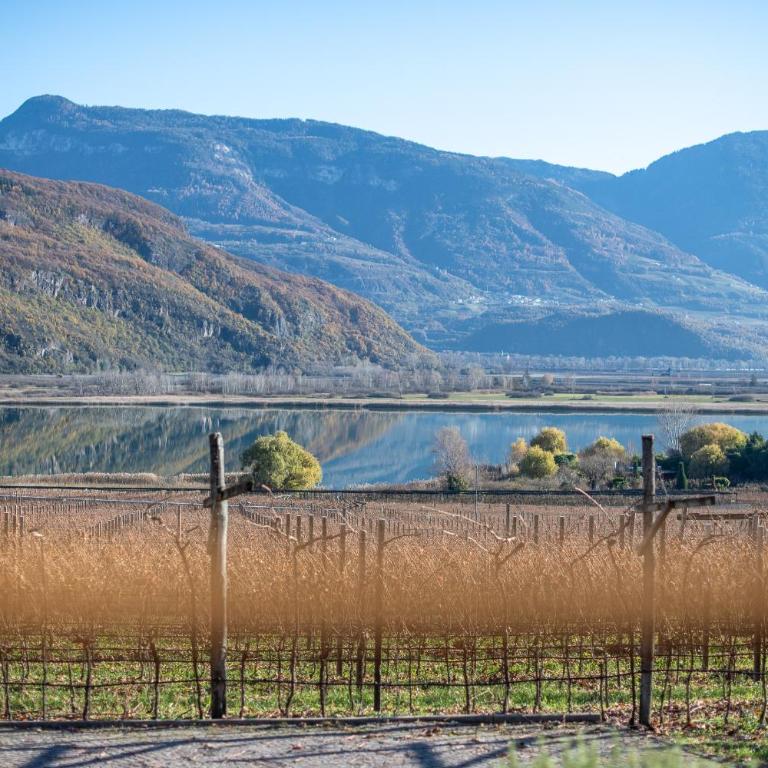 Weinhof am See - Appartamento con Vista Lago - 5
