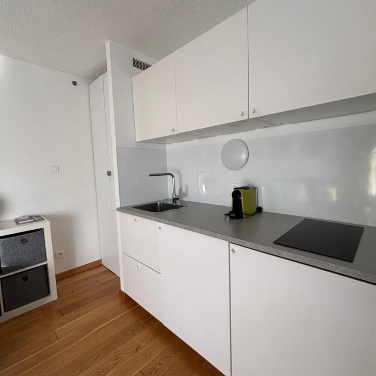 Green Apple Chamonix, centre, parking, ski-in/out - Apartamento de 1 dormitorio - 4