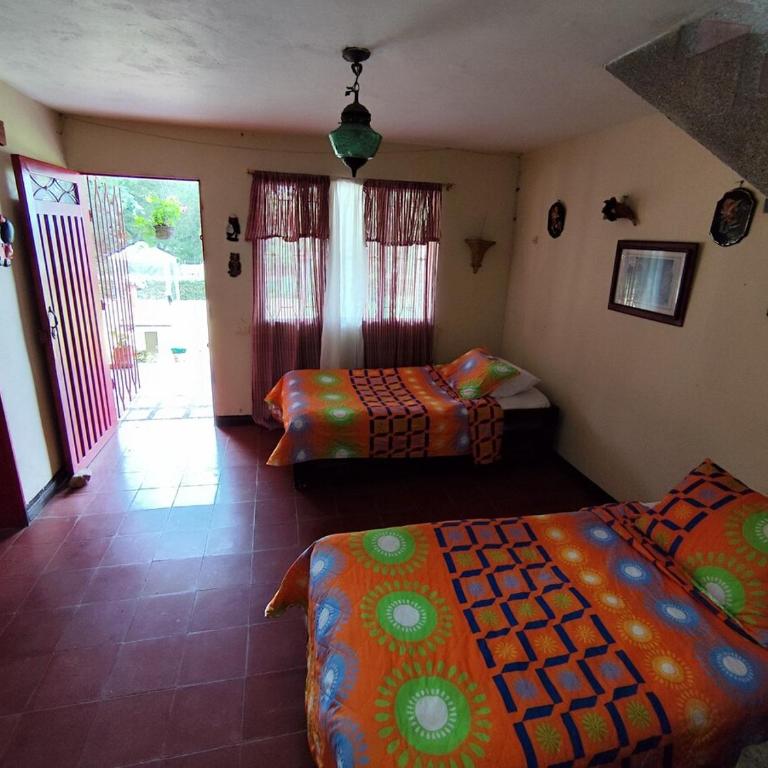 Finca Villa Isaura, Carmen del Viboral - Chalet - 13
