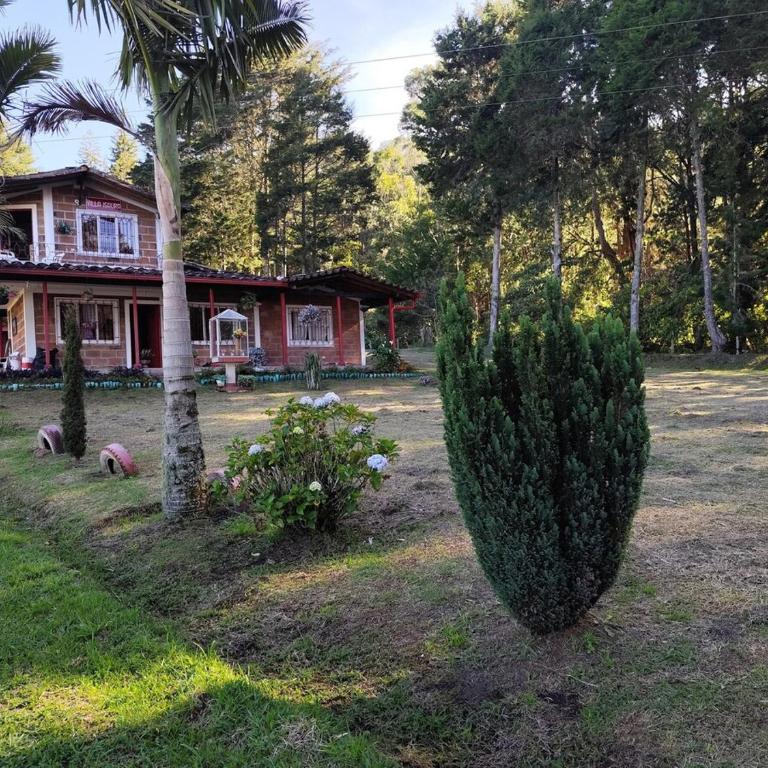 Finca Villa Isaura, Carmen del Viboral - Chalet - 32