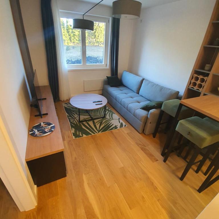 Šišarka Jahorina - Apartman sa 1 Spavaćom Sobom - 1