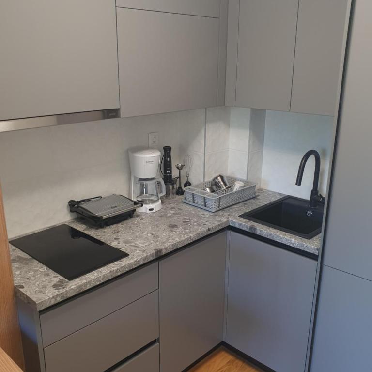 Šišarka Jahorina - Apartman sa 1 Spavaćom Sobom - 10