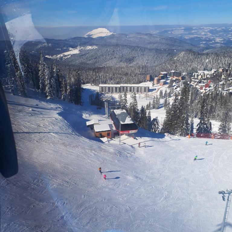 Šišarka Jahorina - Apartman sa 1 Spavaćom Sobom - 16