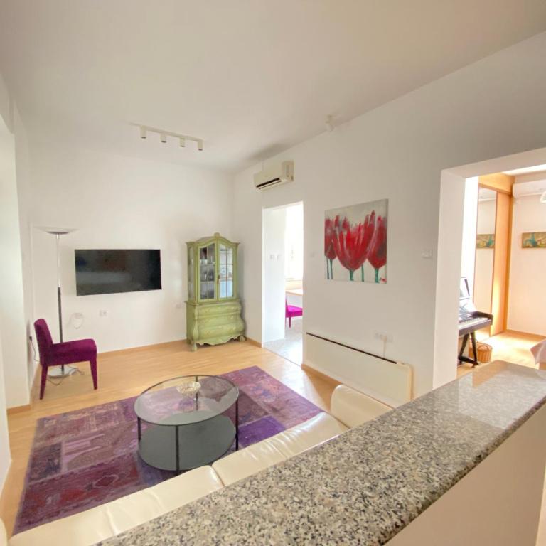 City center salon-style apartment free parking - Apartman sa 1 Spavaćom Sobom - 1