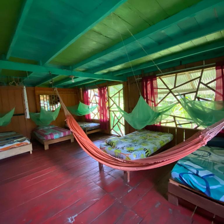 Hostal Búho Amazonas tours - Habitación Compartida Mixta - 1