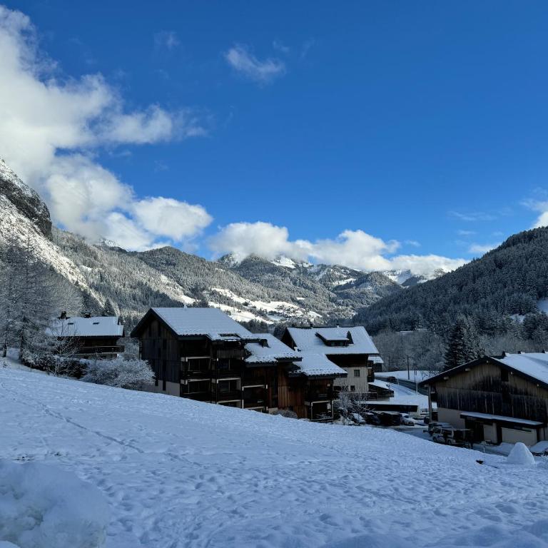 Appartement cosy proche Châtel Portes du soleil - linge inclus - Apartamento de 2 dormitorios - 14