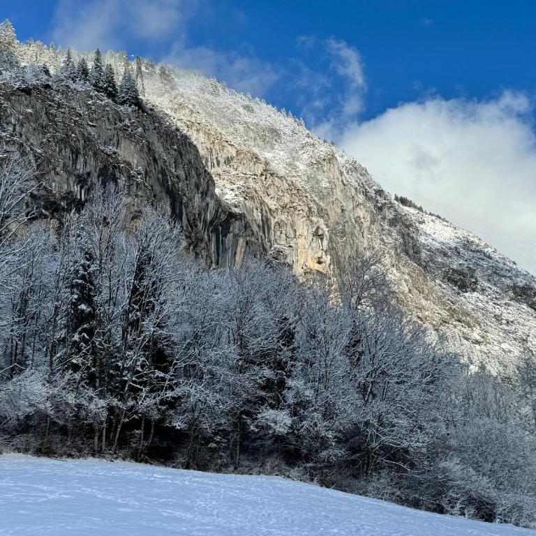 Appartement cosy proche Châtel Portes du soleil - linge inclus - Apartamento de 2 dormitorios - 15